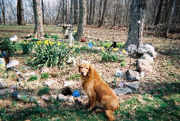 Gabbert Glass Cullet Landscape Uses #8