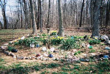 Gabbert Glass Cullet Landscape Uses #9