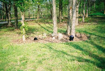 Gabbert Glass Cullet Landscape Uses #3