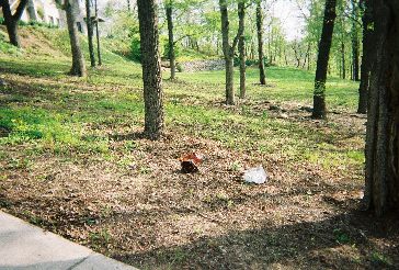 Gabbert Glass Cullet Landscape Uses #6