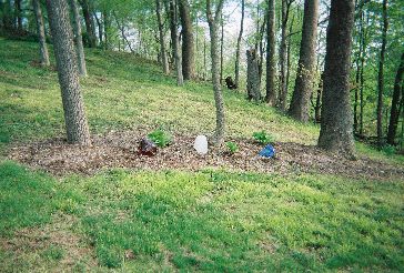 Gabbert Glass Cullet Landscape Uses #7